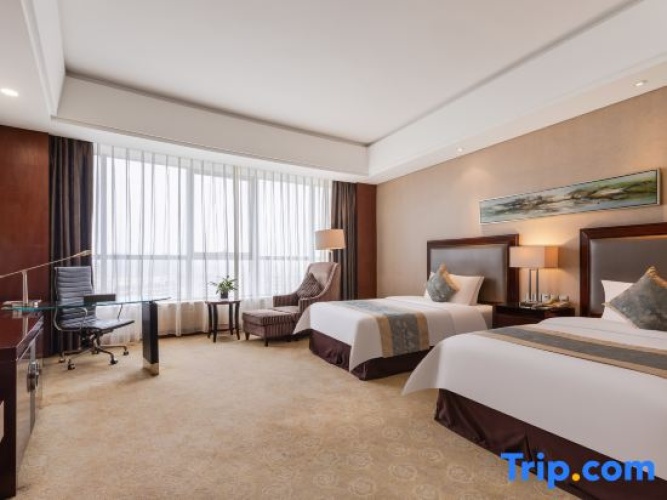 Business Twin room with city view