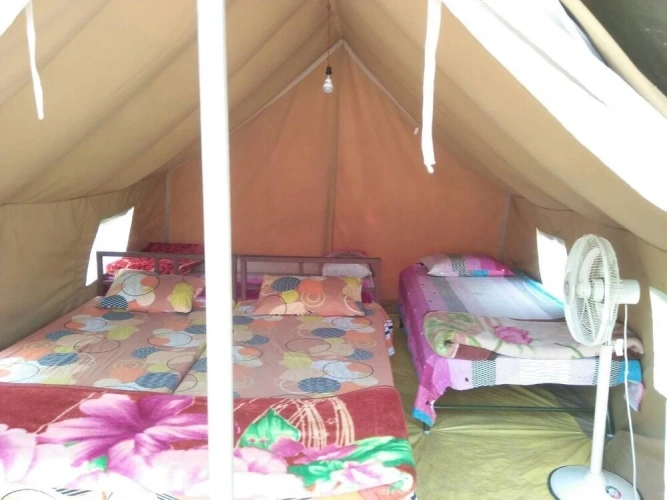 Bed in Dorm