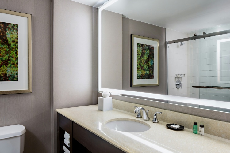 Sheraton Dallas Hotel photo 12