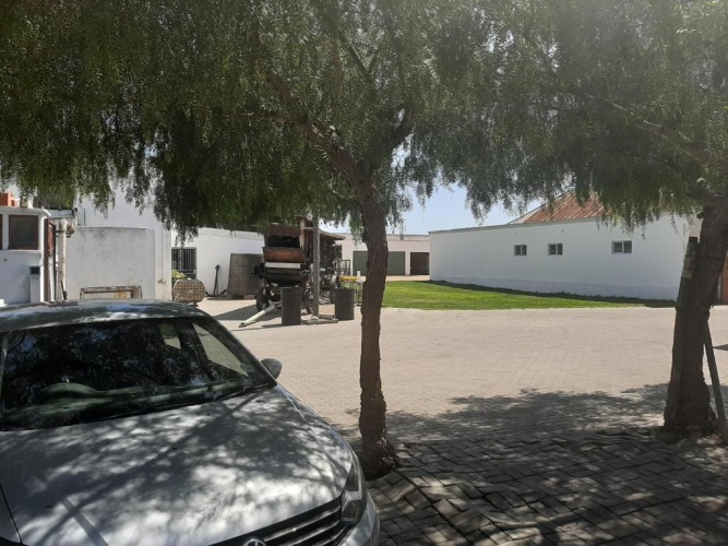 1 Bedroom Chalet