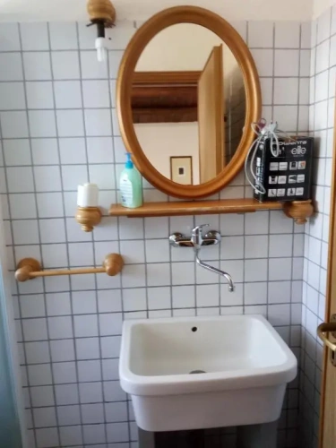 Standard Double room with balcony and with garden view