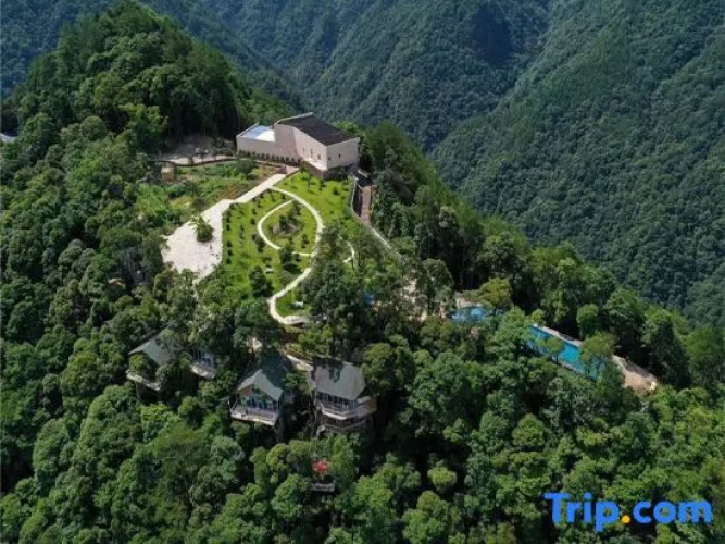 Yinxin'gu Treehouse Hotel
