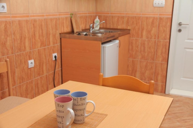 1 Bedroom Apartment with balcony and with view