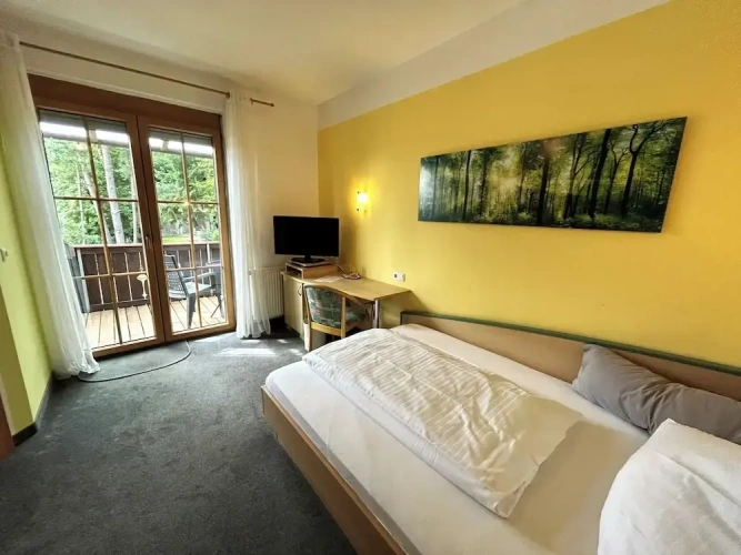 1 Bedroom Classic Single room with balcony and with mountain view
