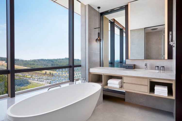 Double Suite with city view