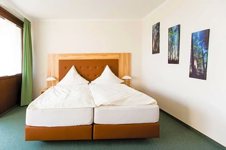 Comfort Double room with balcony and with view