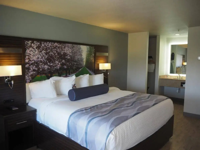 Lexington Inn & Suites