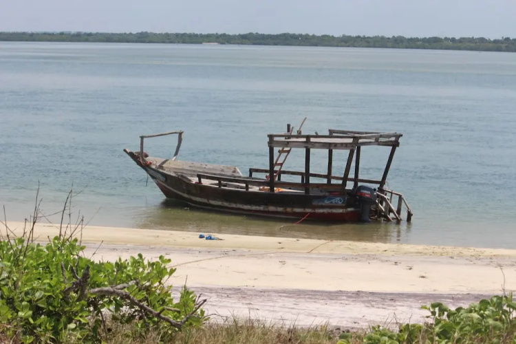 Bomani Beach Bungalows