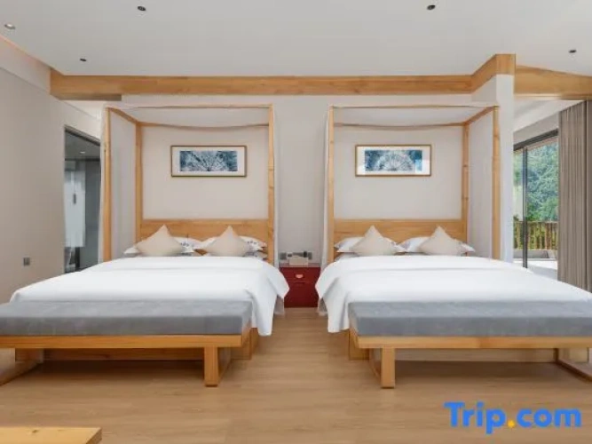 1 Bedroom Premium Suite
