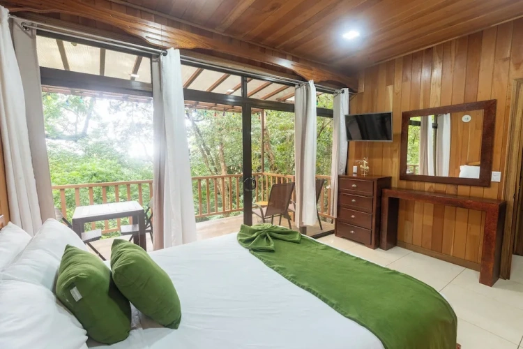 1 Bedroom Comfort room with balcony and with mountain view