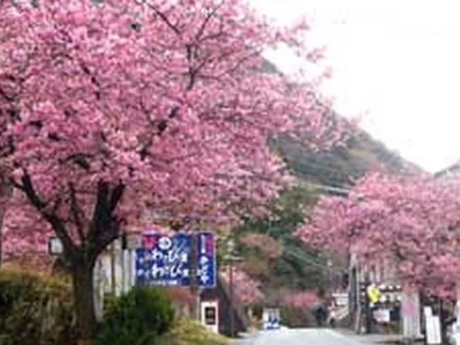 Outside