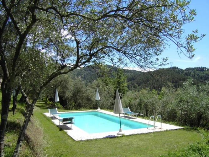 Cottage