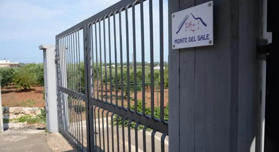 Monte del Sale