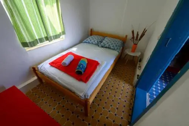 Danube Delta Hostel Homestay