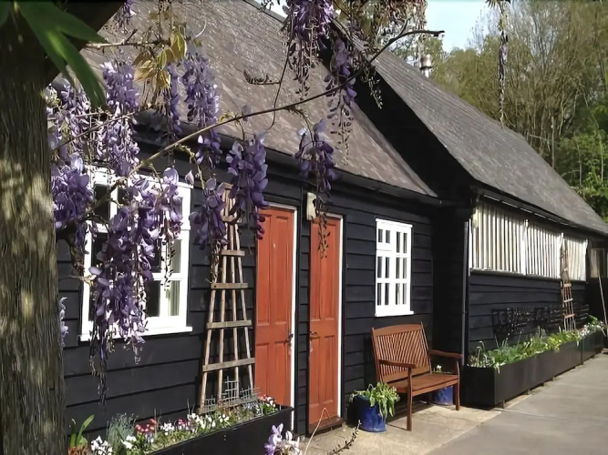 Wisteria Cottage B&B