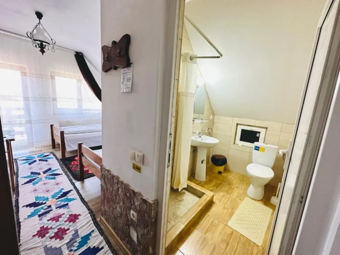 Standard Double room with mountain view