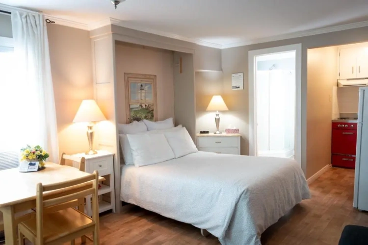 1 Bedroom Suite with view
