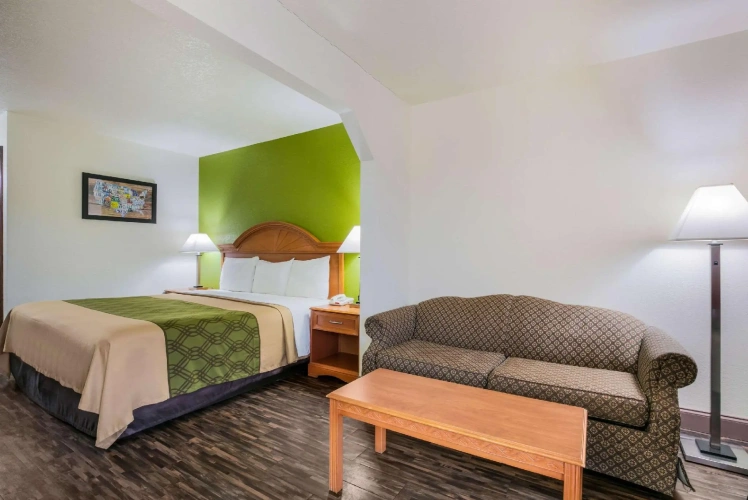 1 Bedroom Suite