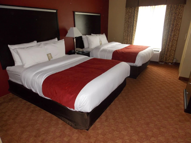 Comfort Suites Spring