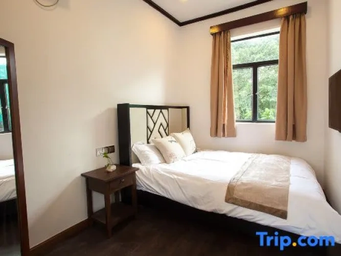 1 Bedroom Suite