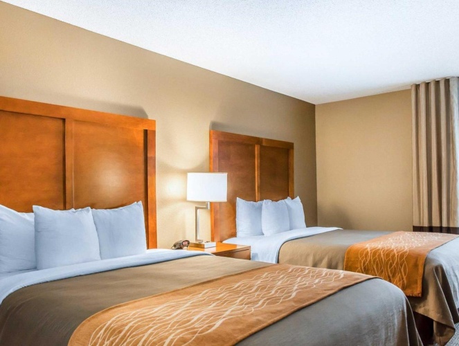 Quadruple Suite