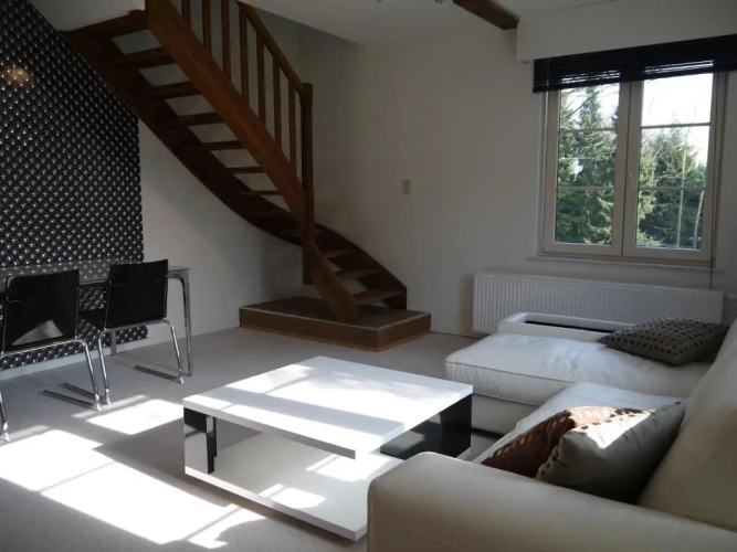 Apartment with garden view