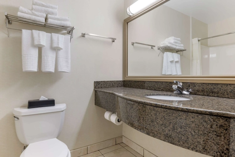 Quadruple Suite