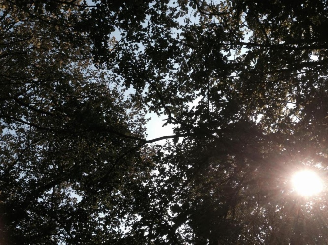 Outside
