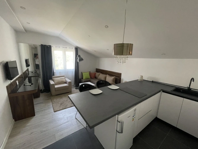 Economy Apartment