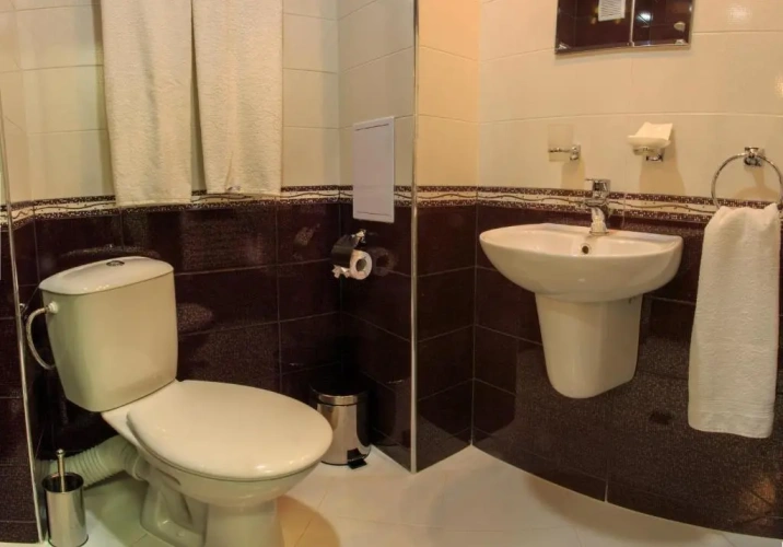 Standard Double room with mountain view
