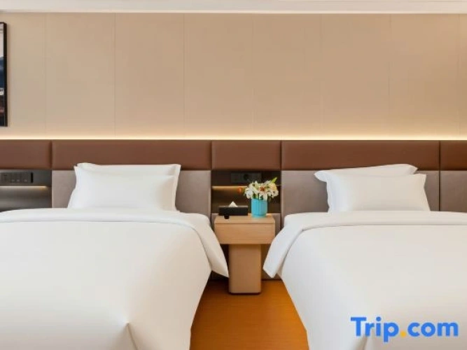 Luxury Twin room