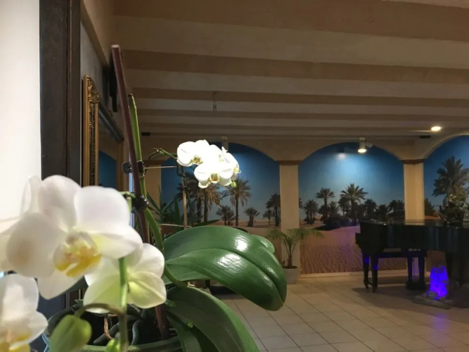 Oasis Motel