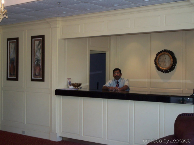 Amsterdam Hotel photo 13