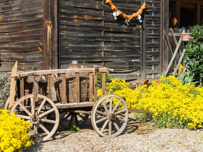 1 Bedroom Cottage