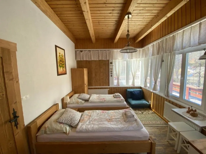 Standard Double room with mountain view