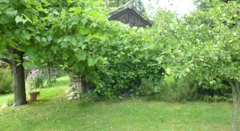 Chałupa Olejarzówka