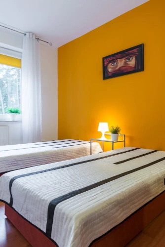 1 Bedroom Classic Apartment with balcony