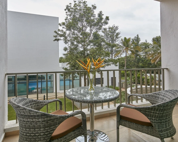 Premium room with balcony and with view