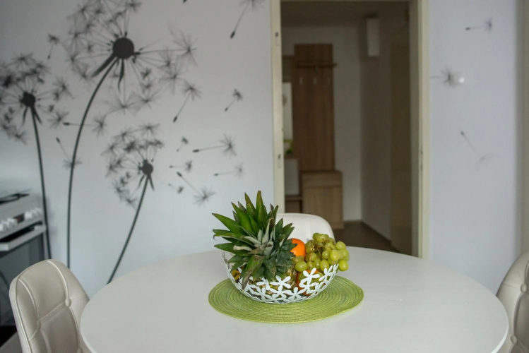 Apartment Vir