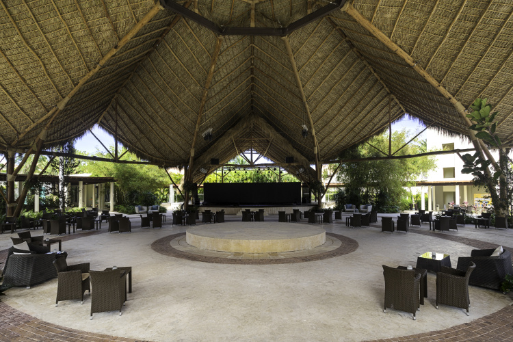 Dreams Royal Beach Punta Cana photo 31