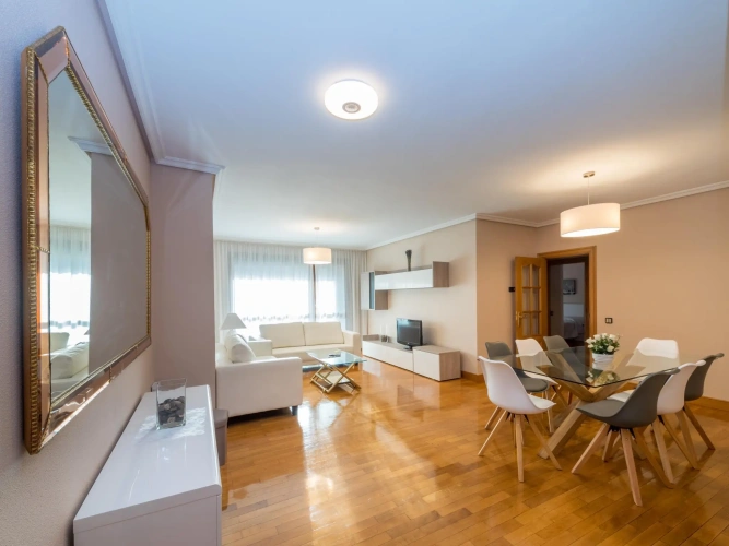 1 Bedroom Apartment