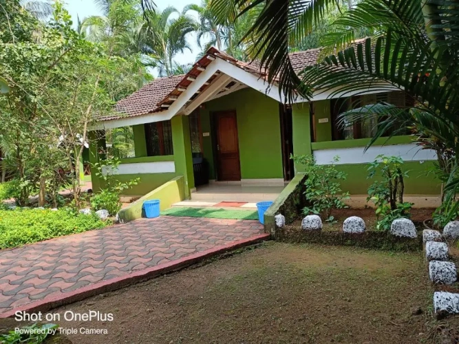 Deluxe Double room with garden view