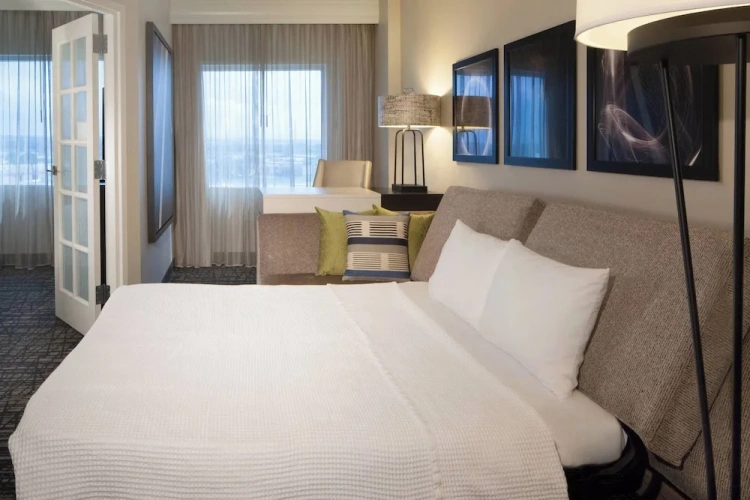 1 Bedroom Suite