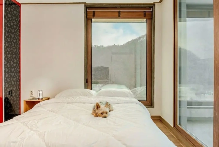 2 Bedrooms Standard room with balcony