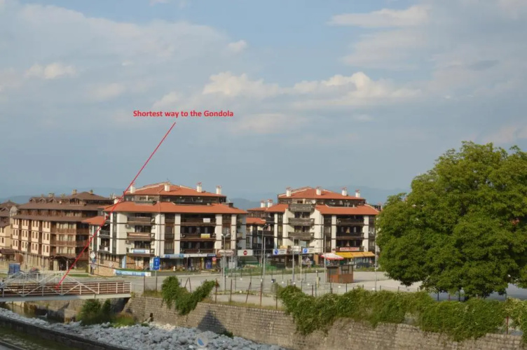 Pine Tree Apartment D34