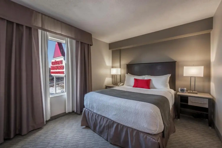 Single Suite