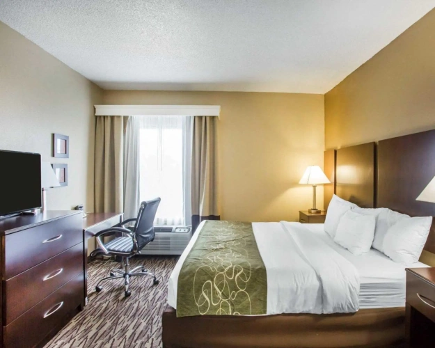 Standard Double room