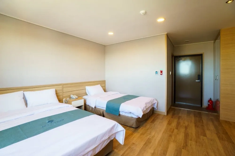 Deluxe Twin room with ocean view