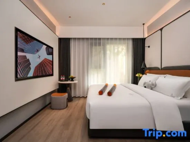 Standard Double room with city view