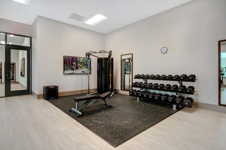 Embassy Suites by Hilton Alpharetta Halcyon photo 23